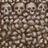 Who are we.png