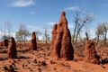 FF2 image source termite-mounds.jpg