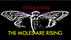 Mole cicada.png